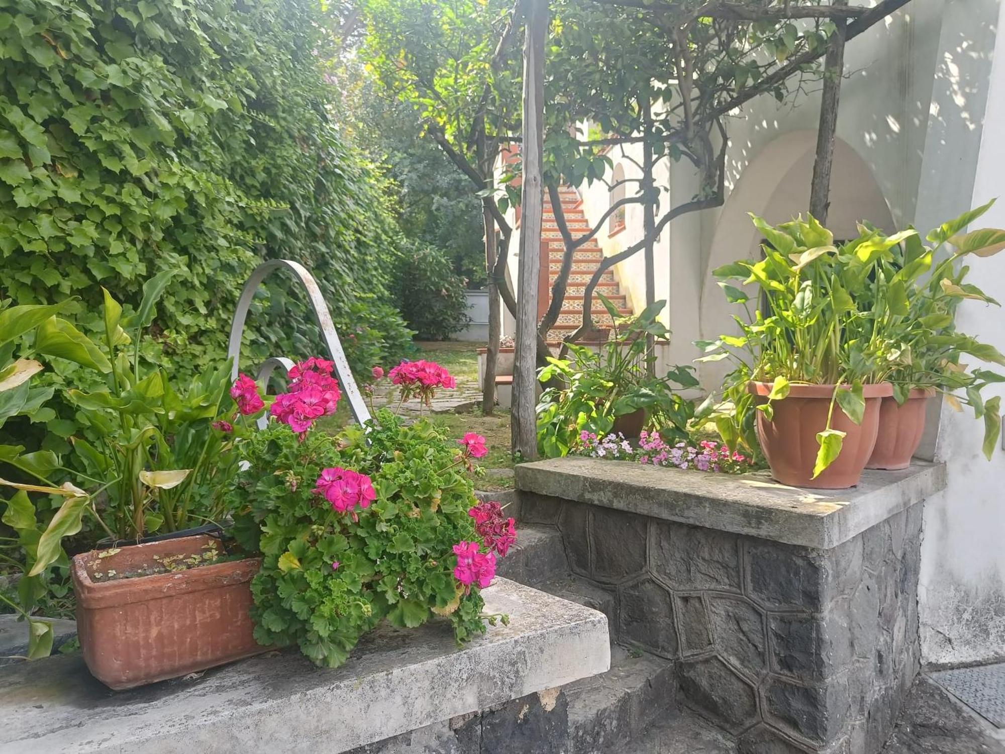Casa Olivella Apartment Torre del Greco Bagian luar foto